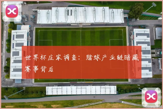 世界杯庄家调查:赌球产业链暗藏赛事背后